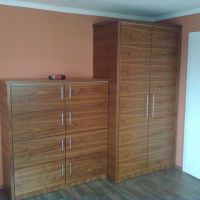 Schrank aus Nussbaum furniert