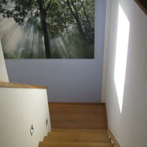 Treppe 7 (2)