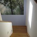Treppe 7 (2)
